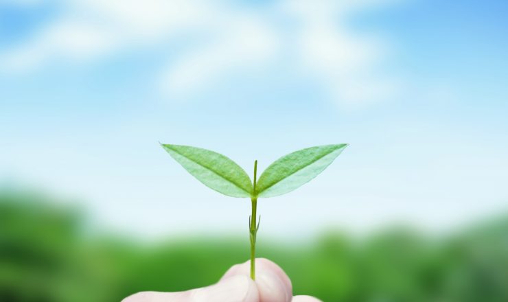 前川様ご確認ページ 法人のお客様 | 株式会社前川自動車